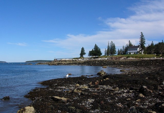 Image of Property Number 730